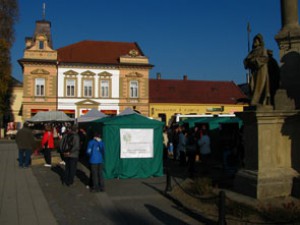 Svatomartinský trh Vizovice 2011